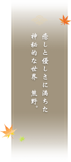 癒しと優しさに満ちた神秘的な世界熊野。